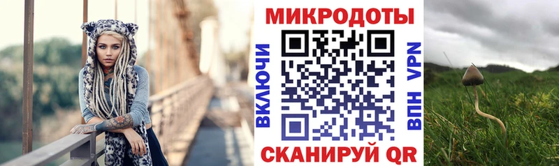 blacksprut зеркало  Княгинино  Галлюциногенные грибы Psilocybine cubensis 